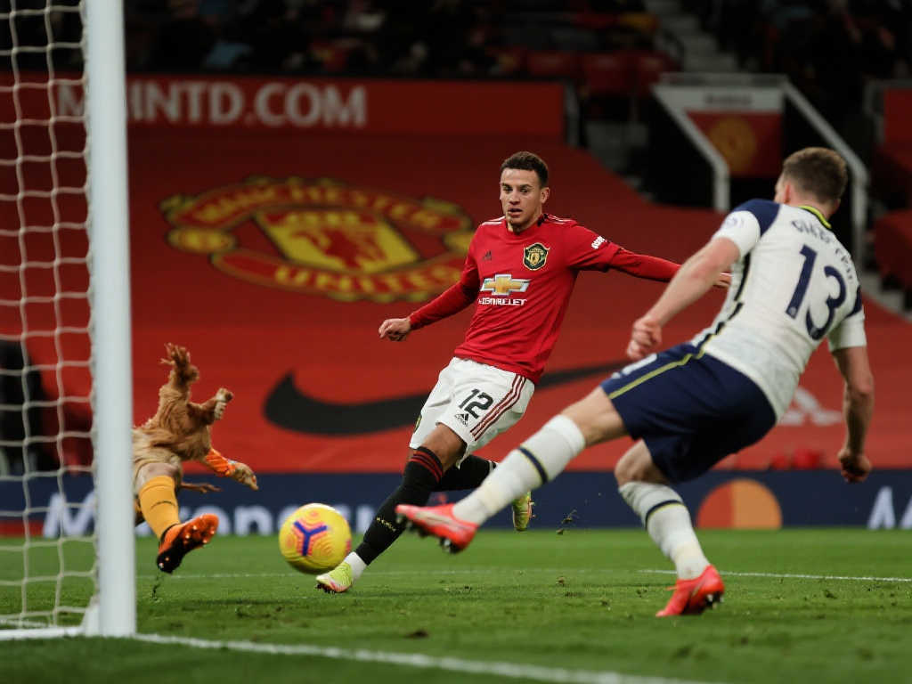 整與穩定輸 整與穩定輸